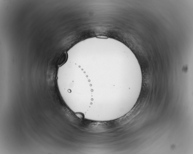 X0000103450082200810031445