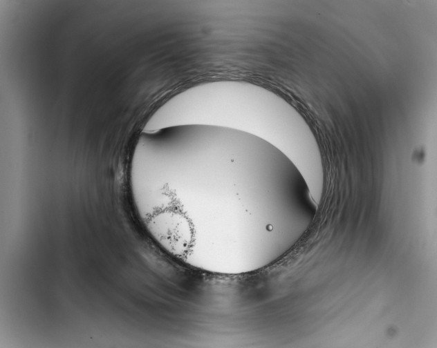 X0000103450084200810031445