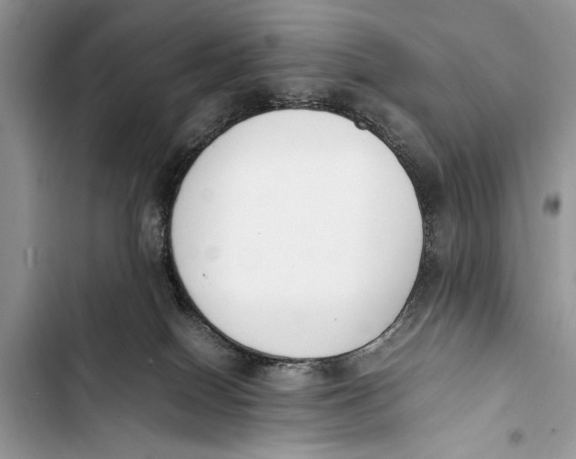 X0000103450086200810031445