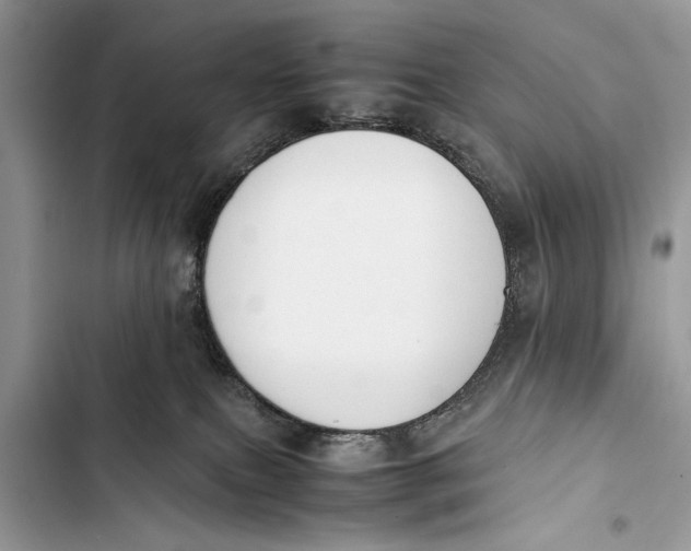 X0000103450087200810031445