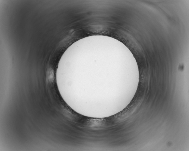 X0000103450089200810031445