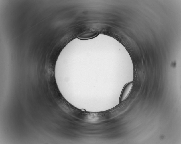 X0000103450091200810031445