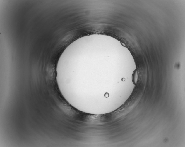 X0000103450092200810031445