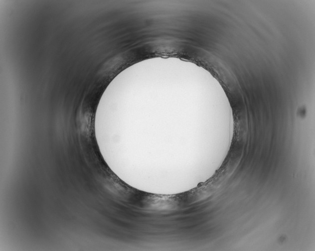 X0000103450093200810031445