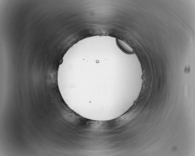 X0000103450096200810031445