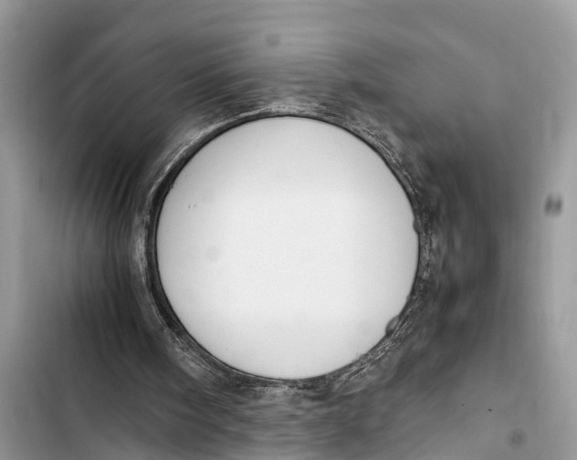 X0000103450098200810031445