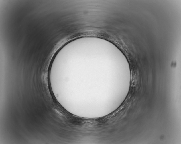 X0000103450099200810031445