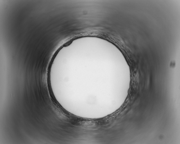 X0000103450100200810031445