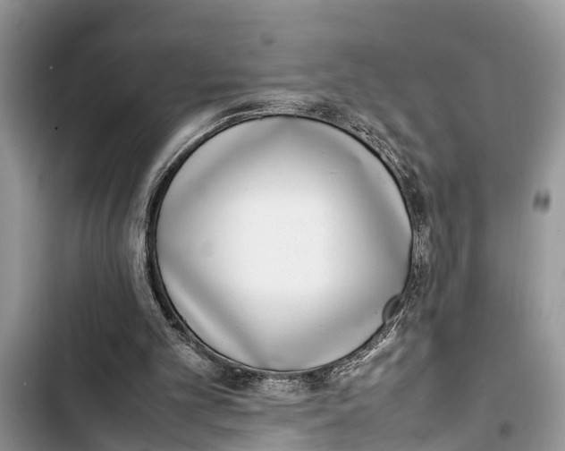 X0000103450101200810031445