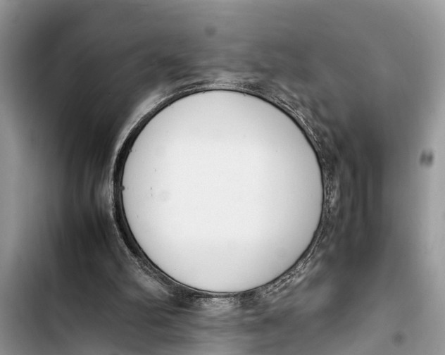 X0000103450102200810031445