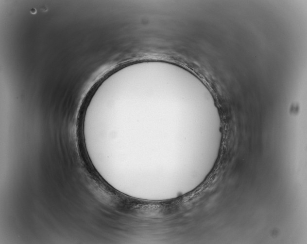 X0000103450104200810031445