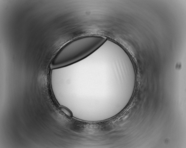 X0000103450105200810031445