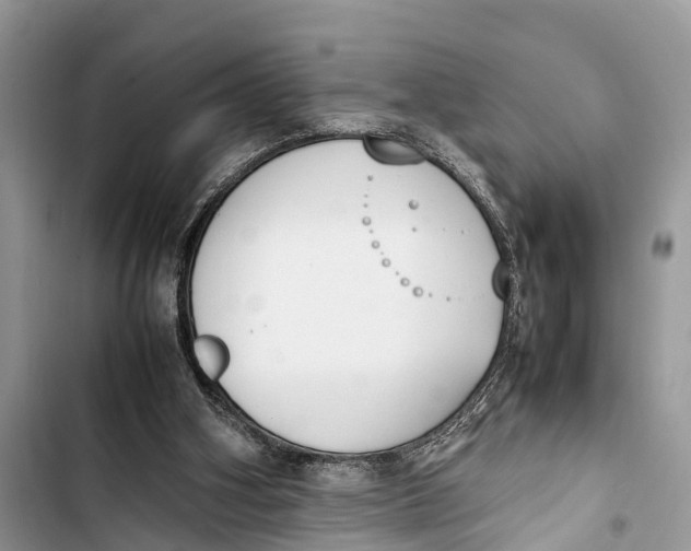 X0000103450106200810031445