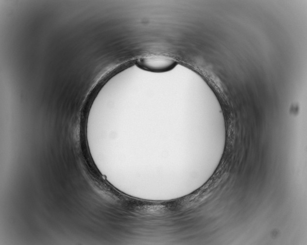 X0000103450108200810031445