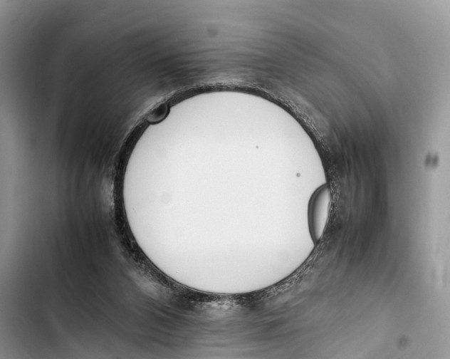 X0000103450112200810031445