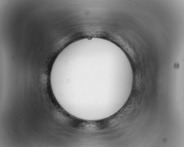 X0000103450113200810031445