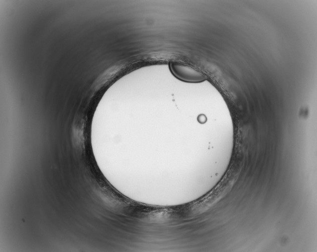 X0000103450116200810031444