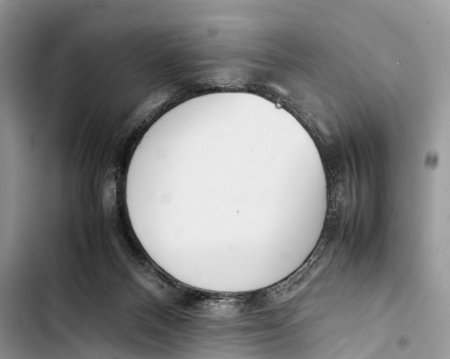 X0000103450120200810031444