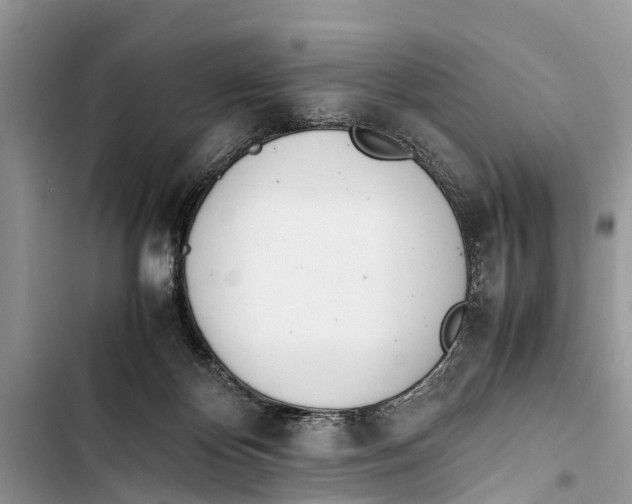 X0000103450124200810031444