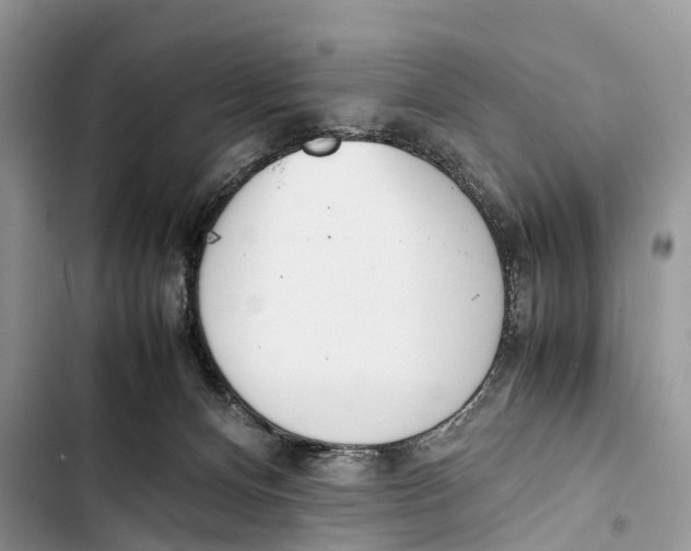 X0000103450128200810031444