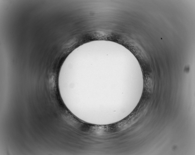 X0000103450131200810031444