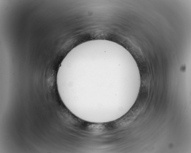 X0000103450133200810031444