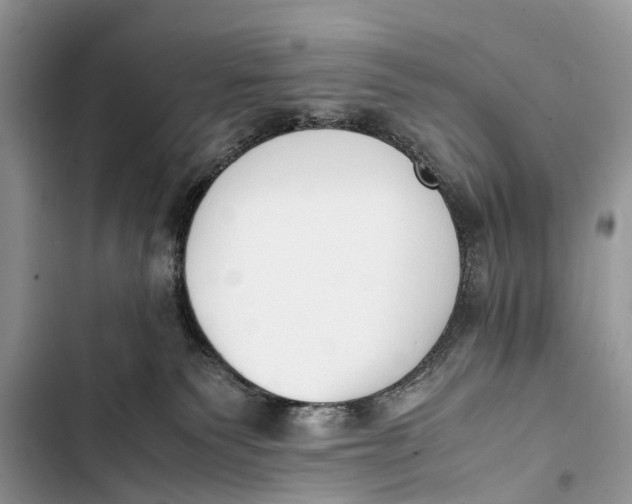 X0000103450135200810031444