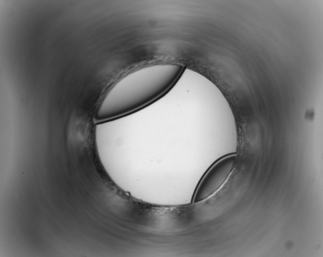 X0000103450136200810031444