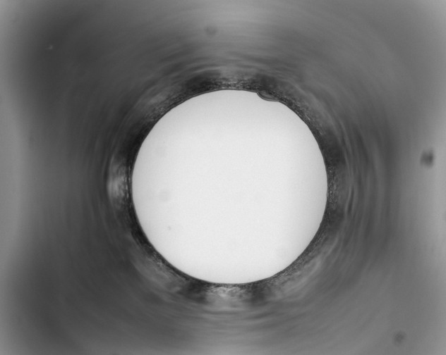 X0000103450137200810031444