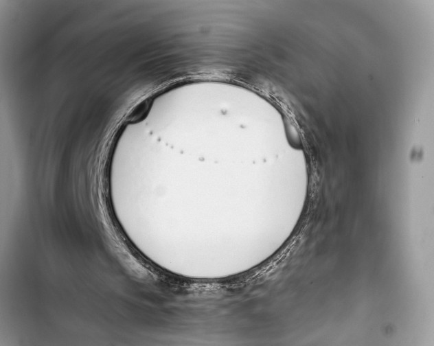 X0000103450145200810031443