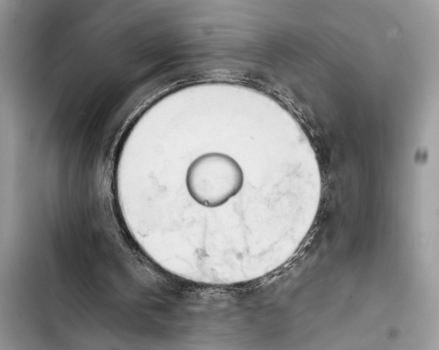 X0000103450146200810031443