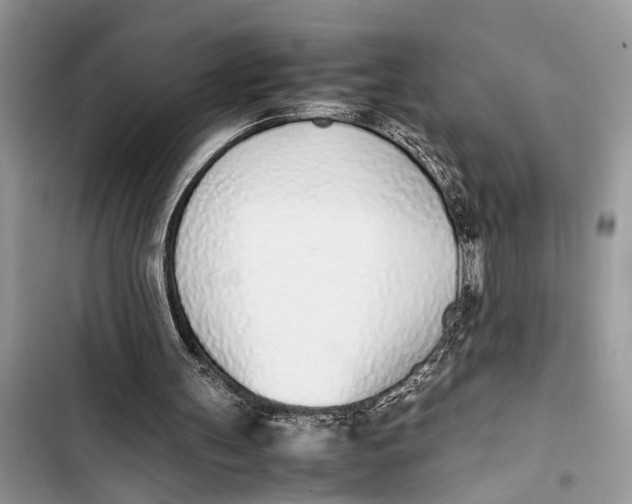 X0000103450147200810031443