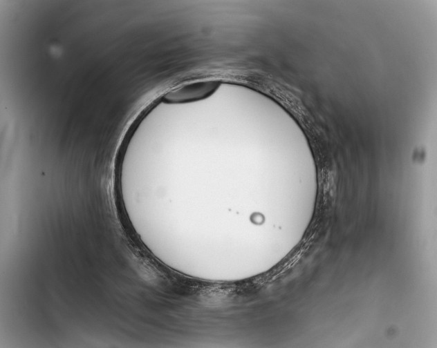 X0000103450148200810031443