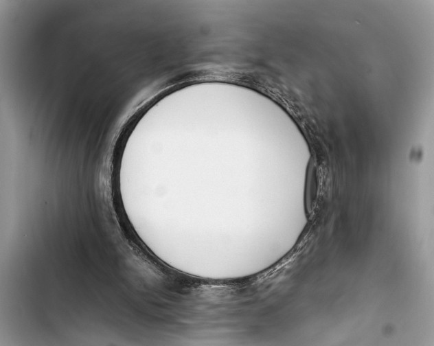 X0000103450150200810031443