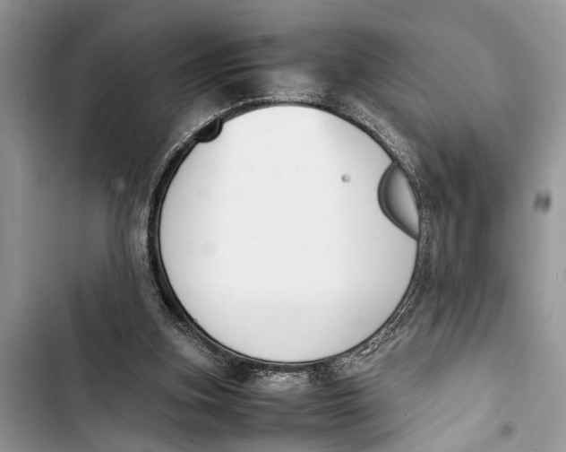 X0000103450155200810031443