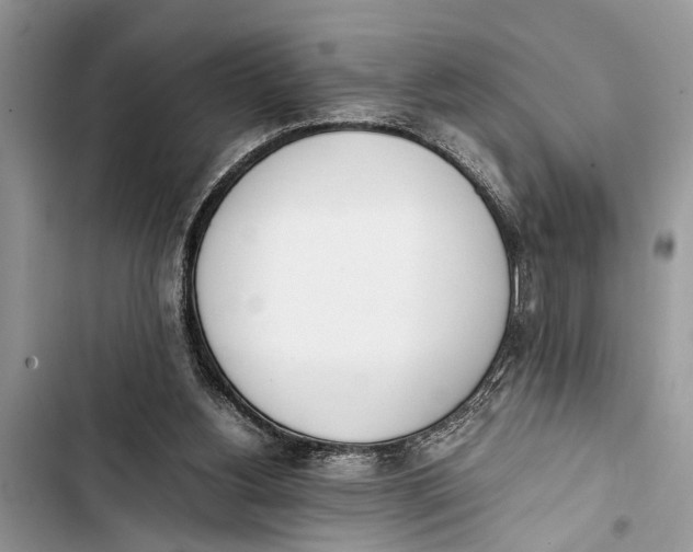 X0000103450156200810031443