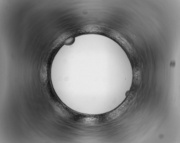 X0000103450158200810031443