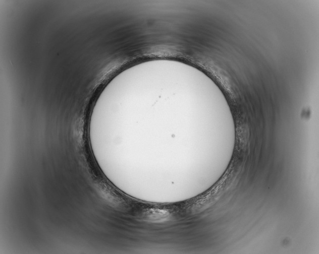 X0000103450159200810031443