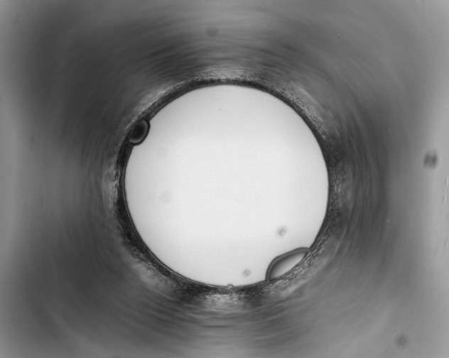 X0000103450160200810031443