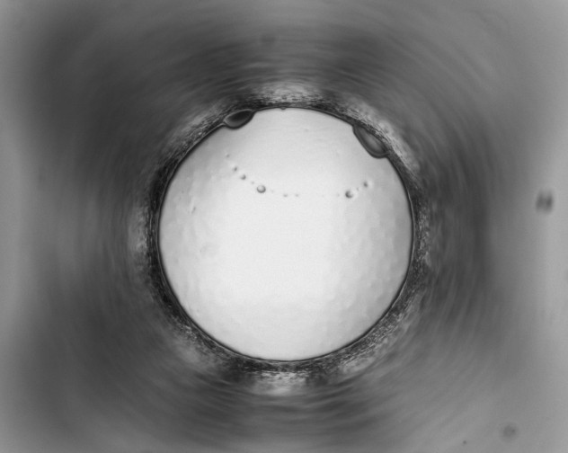 X0000103450161200810031443