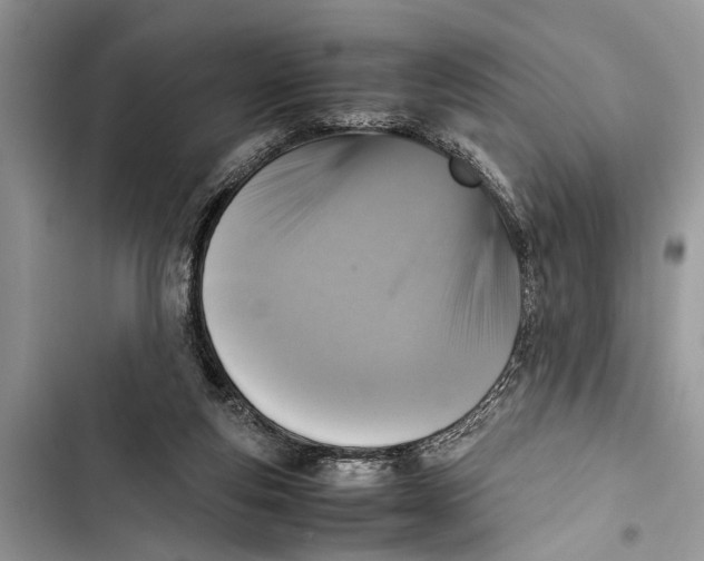 X0000103450163200810031444