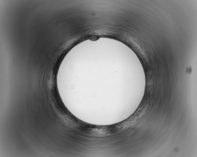 X0000103450164200810031444