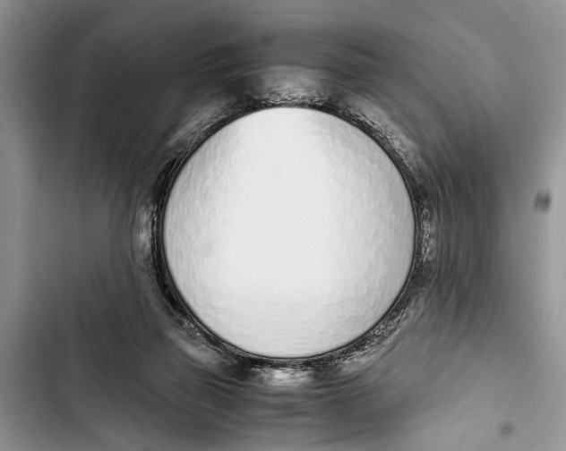 X0000103450165200810031444