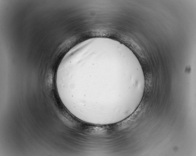 X0000103450166200810031444