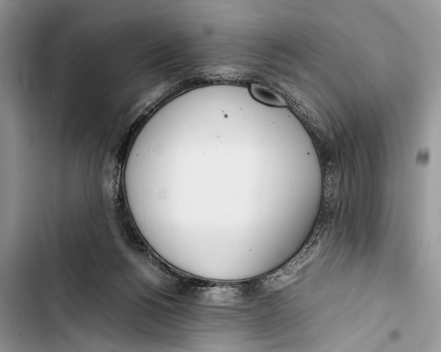 X0000103450168200810031444