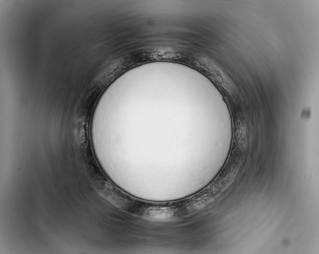 X0000103450169200810031444