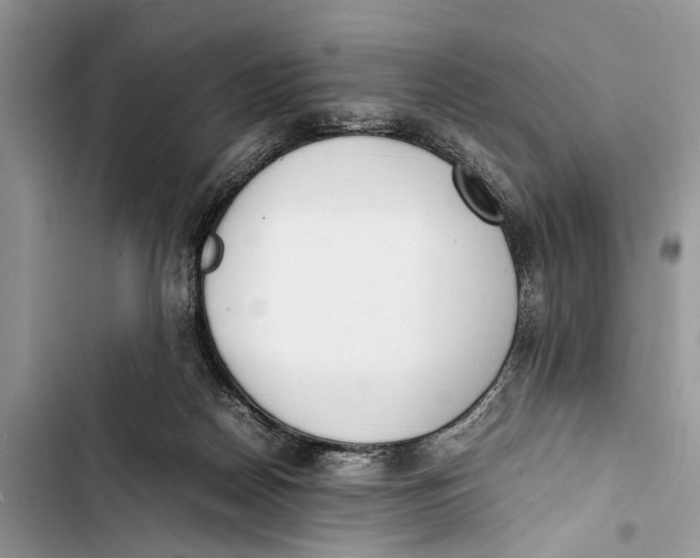 X0000103450170200810031444