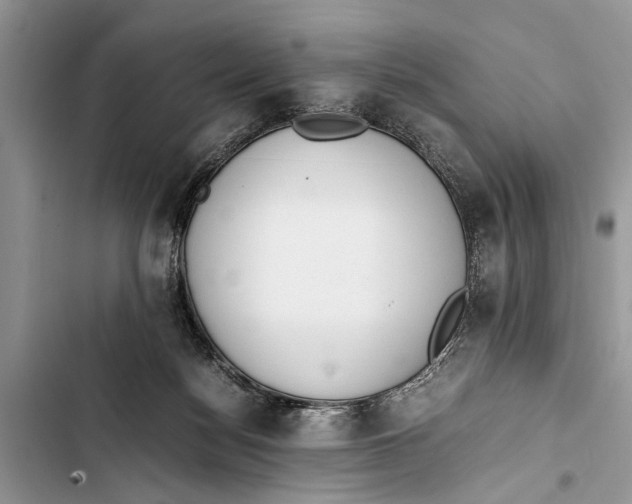 X0000103450172200810031444