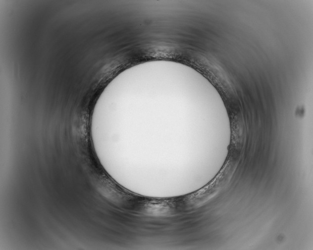 X0000103450175200810031444