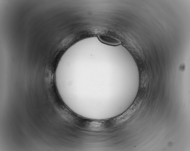 X0000103450176200810031444